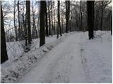 Stara Vrhnika - Koča na Planini nad Vrhniko